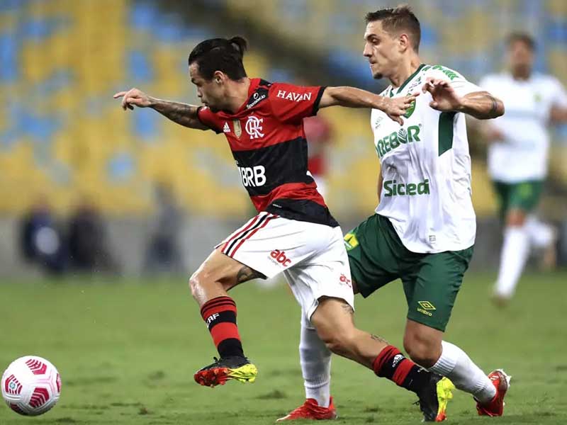 Nhận định soi kèo Flamengo vs Cuiaba lúc 06h00 ngày 7/7/2024