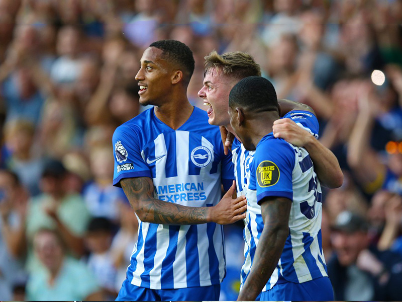 Nhận định soi kèo Brighton vs Crawley lúc 1h45 ngày 28/8/2024