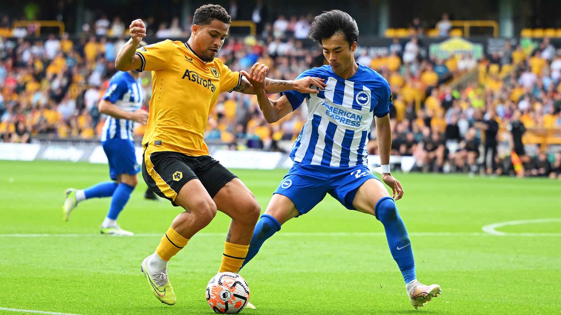 Nhận định soi kèo Brighton vs Wolves lúc 21h00 ngày 26/10/2024